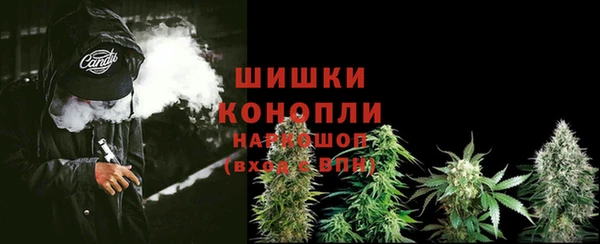 твердый Кодинск