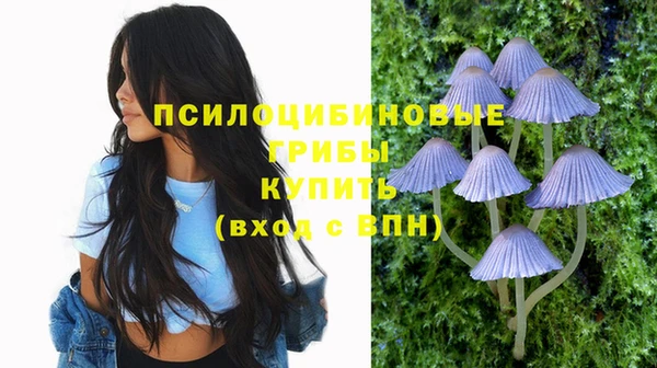 твердый Кодинск