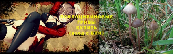меф Козельск