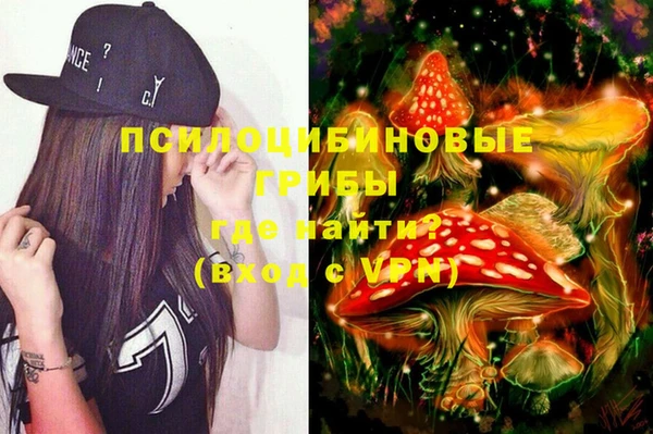 твердый Кодинск